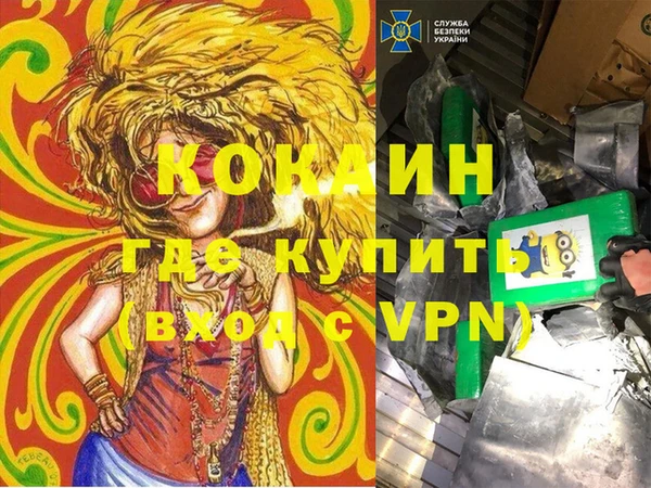 дживик Карпинск