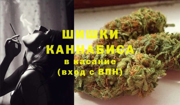 дживик Карпинск